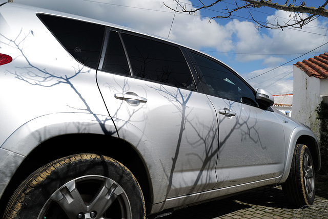 RAV4, tree-shadow decorated !