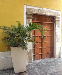 Porte végétative /Porta vegetativa