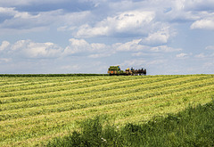 Amish people in Pennsylvania