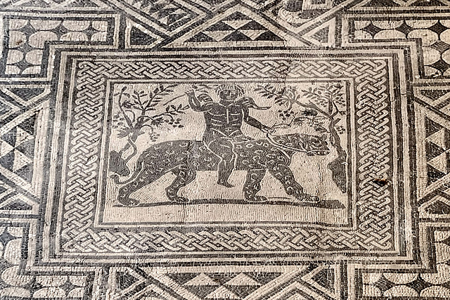 Fano 2025 – Museo Civico e Pinacoteca – Panther mosaic Fano 2025 – Museo Civico e Pinacoteca – Panther mosaic