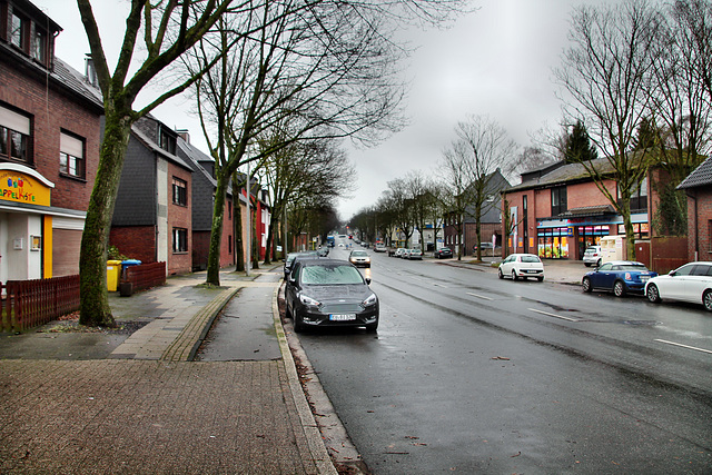 Teutoburger Straße (Oberhausen-Klosterhardt) / 20.01.2018