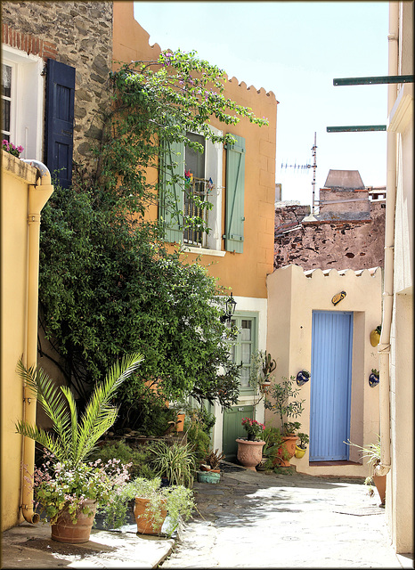 Collioure (66) 18 mai 2015.