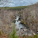 The Rogie Falls on Blackwater, Highland