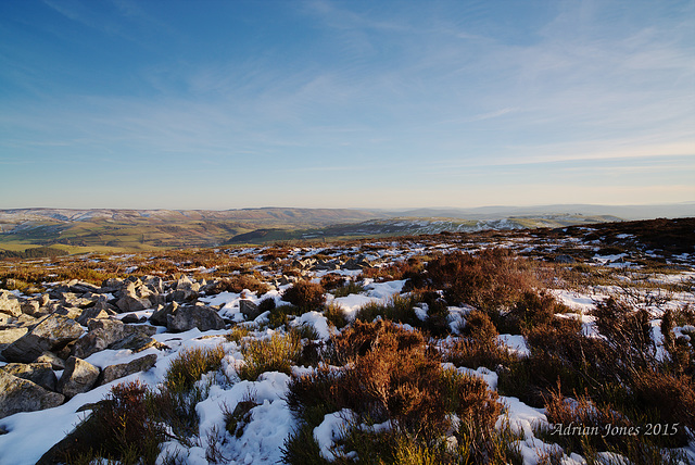 Stiperstones Landscape