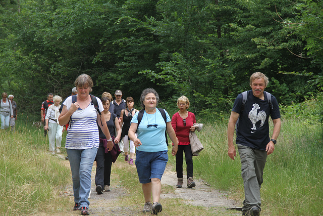 Randonnée Bombon-La Chapelle Gauthier-Bombon  - 20/06/2015