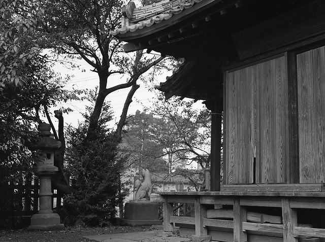 On the shrine ground