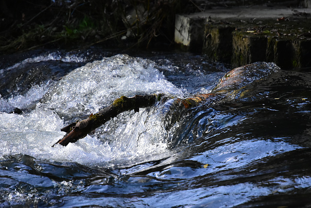 hors de l'eau