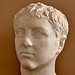 Fano 2025 – Museo Civico e Pinacoteca – Portrait