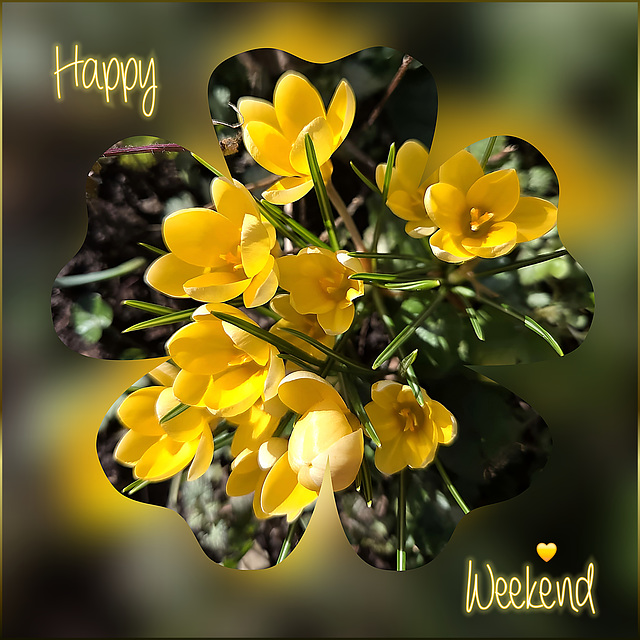 Lucky Weekend ❤