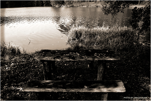 ... for an autumn conversation ...