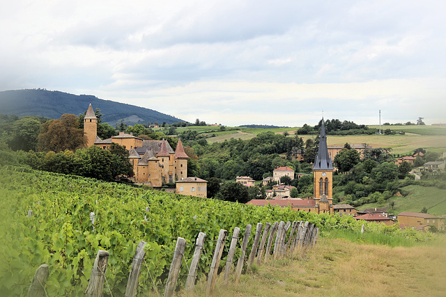 Jarnioux (69) 20 août 2014.