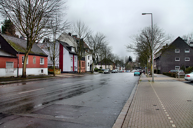 Teutoburger Straße (Oberhausen-Klosterhardt) / 20.01.2018