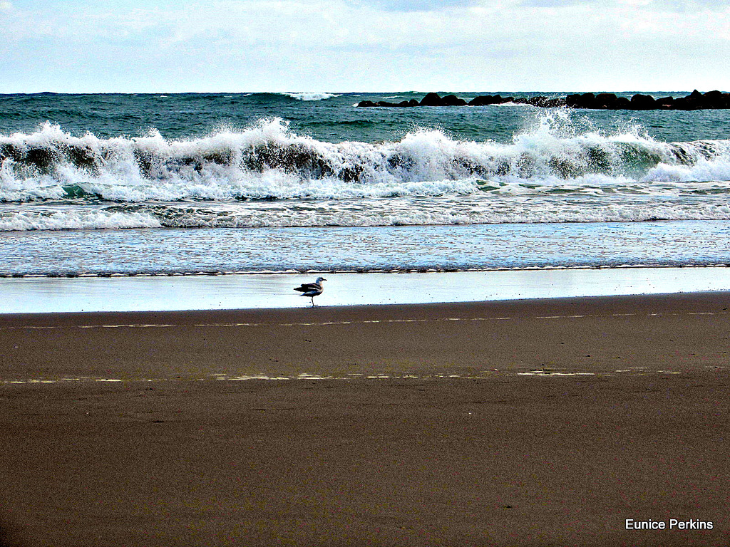 Sand and Sea