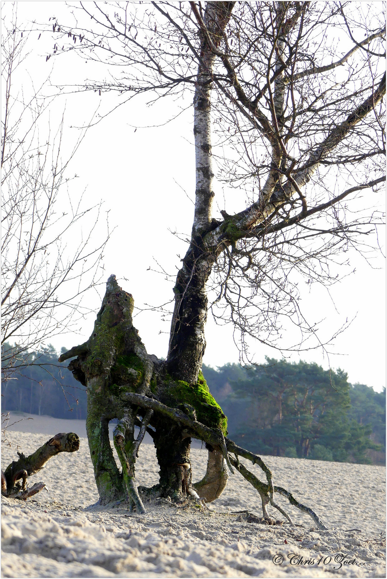 Grillig...