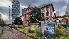 Senckenberg Museum - Frankfurt am Main