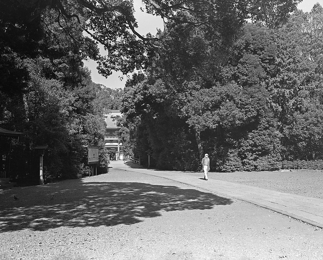 Strolling on the shrine ground