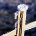 Frostiges Detail