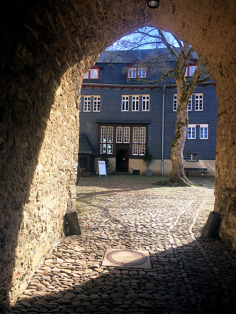 Frühling am oberen Schloß