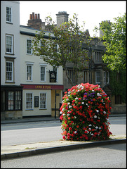 St Giles in bloom