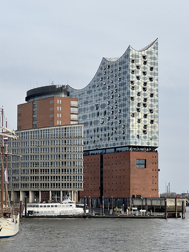 IMG 2541