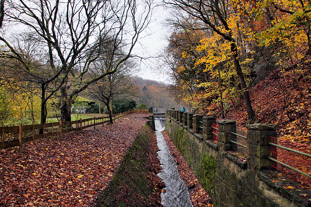 Borbach nach dem Hammerteich (Witten) / 26.11.2023