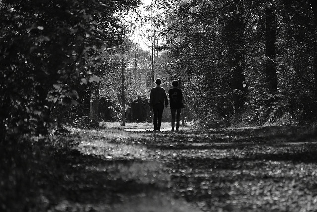 part une après midi d'automne