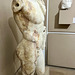 Fano 2025 – Museo Civico e Pinacoteca – Torso