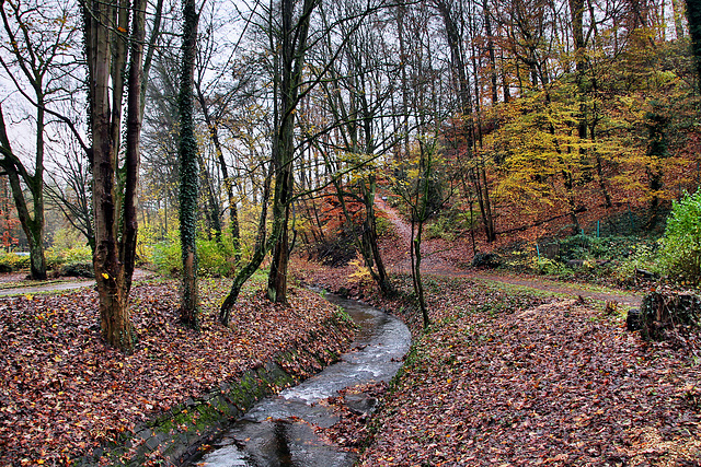 Der Borbach kurz vor der Mündung (Witten) / 26.11.2023