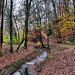 Der Borbach kurz vor der Mündung (Witten) / 26.11.2023