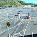 Fences At Wellington Airport.