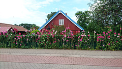 Naglių-Straße 13-15, Nida Naglių-Straße 13-15, Nida