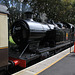 Dartmouth Steam Railway