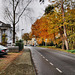 Parkstraße (Unna-Königsborn) / 26.11.2022
