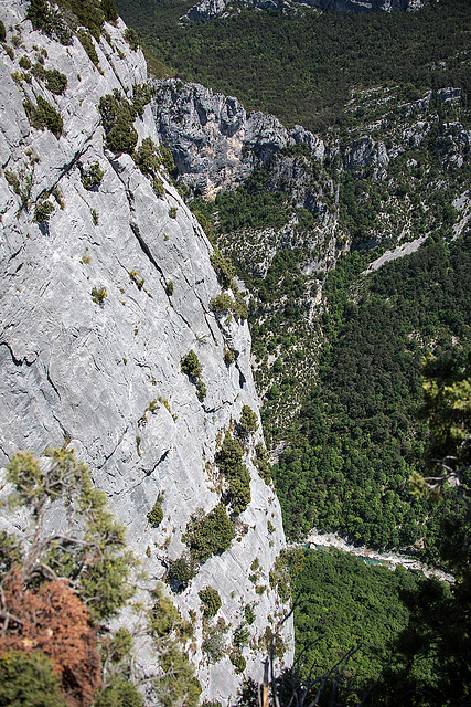 20150529 8289VRAw [R~F] Gorges du Verdon, Cote d'Azur