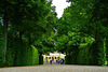 Lindenalle mit Blick auf Schloss Veitshöchheim - Lime tree avenue with a view to Castle Veitshöchheim
