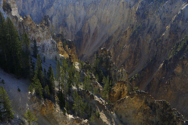 Grand Canyon of the Yellowstone