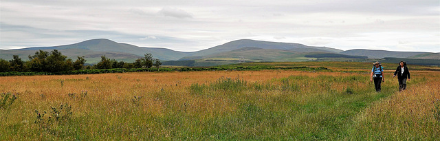 Scotland St. Cuthbert's Way