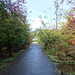 Autumn Colours In Balloch