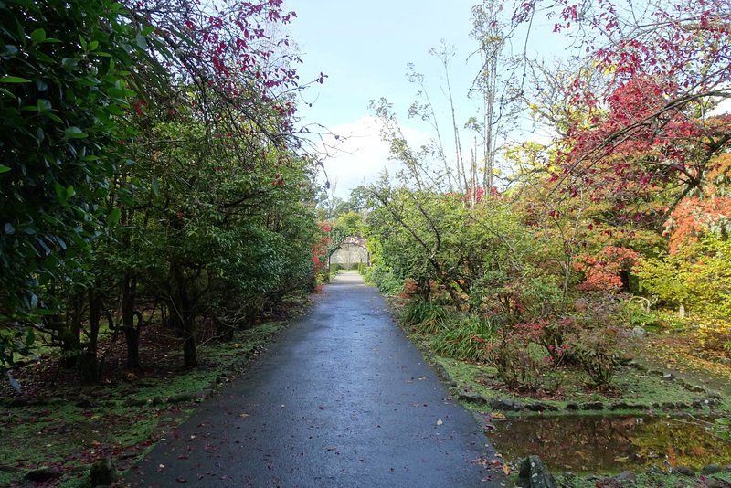 Autumn Colours In Balloch