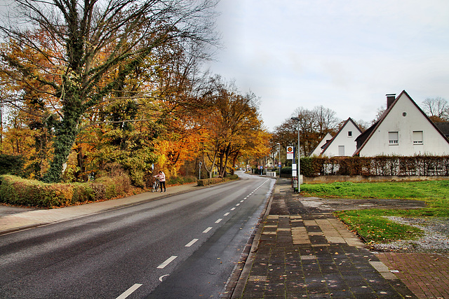 Parkstraße (Unna-Königsborn) / 26.11.2022