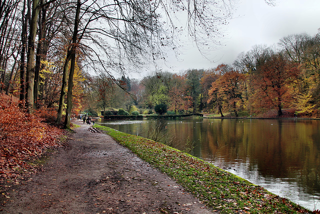 Weg am Hammerteich (Witten) / 26.11.2023