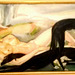 "The Woman and the Greyhounds"