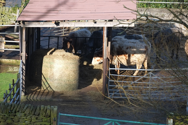 Mossy Lea Farm, Glossop