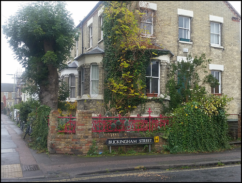 Buckingham Street corner