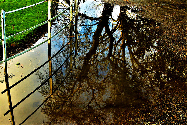 Reflected Fence - HFF