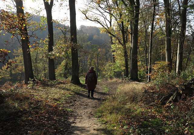 Wanderung durch...