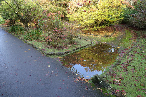 Autumn Colours In Balloch