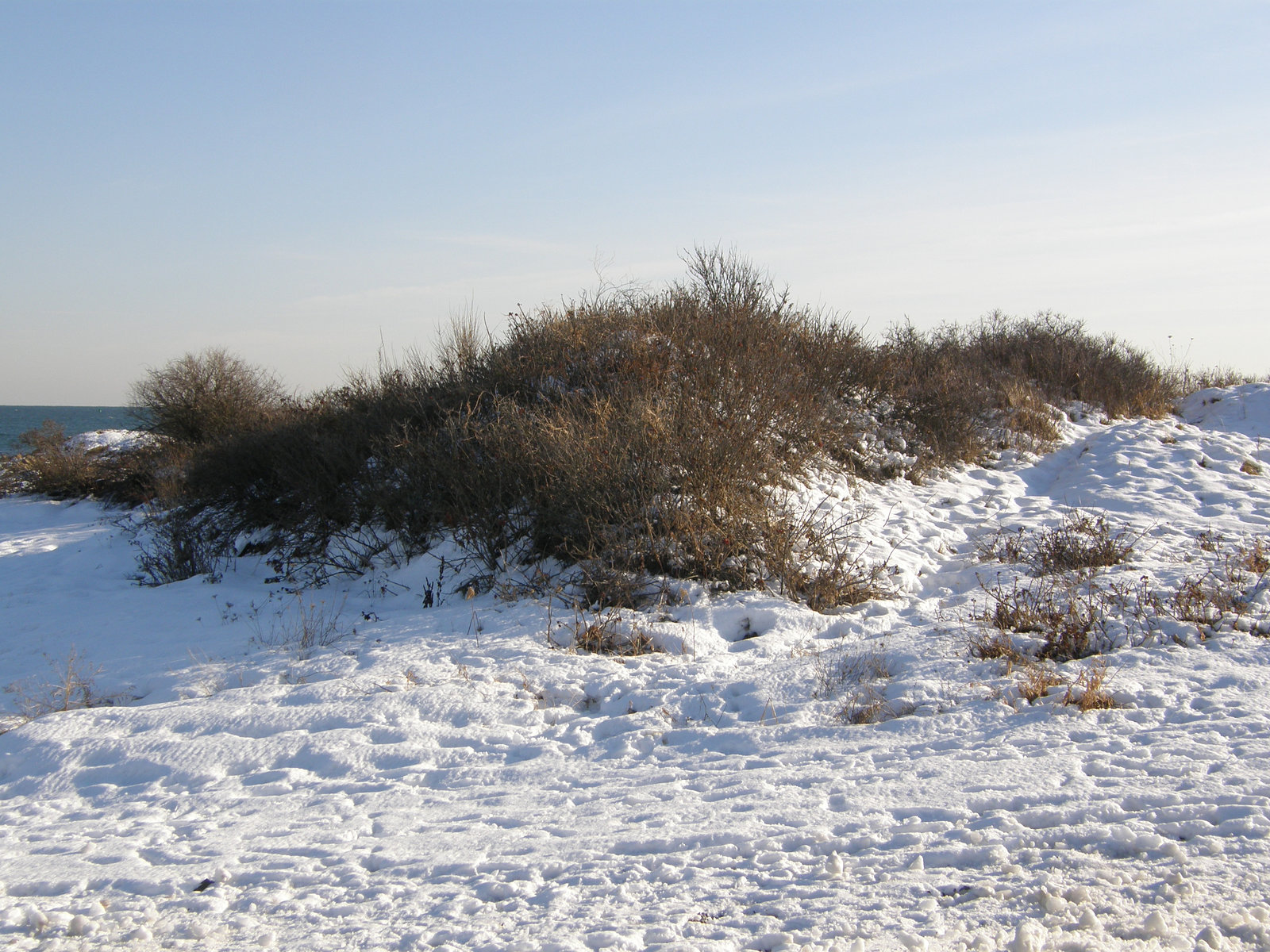 Snow on the Beach