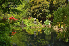 Oriental Reflections, Peasholm Park - Scarborough