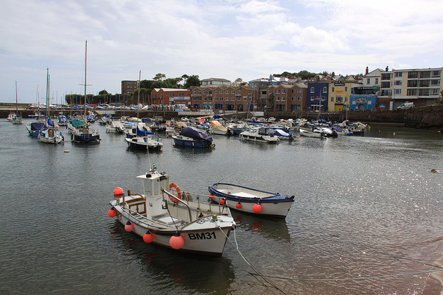 Paignton Harbour